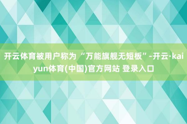 开云体育被用户称为 “万能旗舰无短板”-开云·kaiyun体育(中国)官方网站 登录入口
