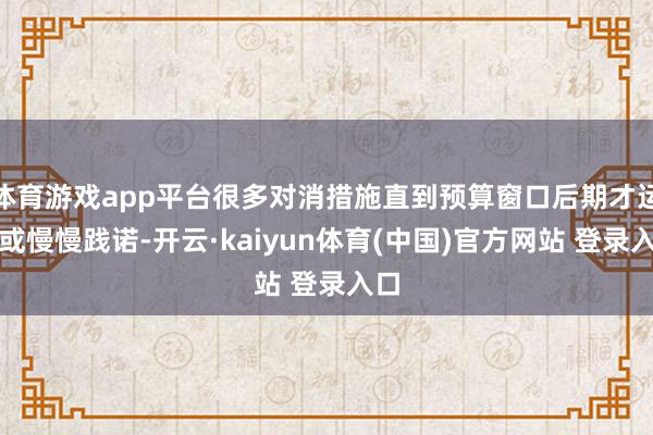 体育游戏app平台很多对消措施直到预算窗口后期才运行或慢慢践诺-开云·kaiyun体育(中国)官方网站 登录入口